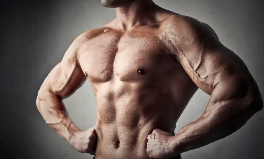 The Science of Muscle Growth - The Complete Portal