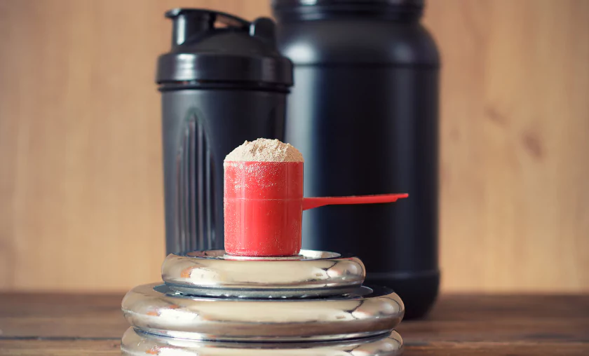 Protein Supplements  - The Complete Portal