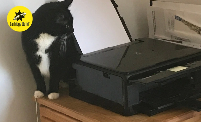 Cartridge World UK Review: Best Toners & Printers! ([wpsm_custom_meta type=date field=month] [wpsm_custom_meta type=date field=year]) - The Complete Portal