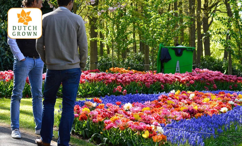 DutchGrown UK Review: Best Flowers & Seasonal Plants! ([wpsm_custom_meta type=date field=month] [wpsm_custom_meta type=date field=year]) - The Complete Portal