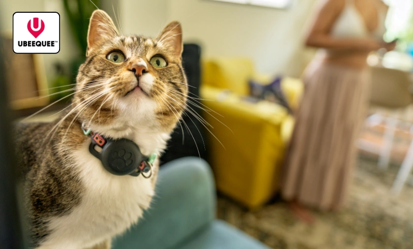 Ubeequee UK Review: Best Smart Tracking for Families! ([wpsm_custom_meta type=date field=month] [wpsm_custom_meta type=date field=year]) - The Complete Portal