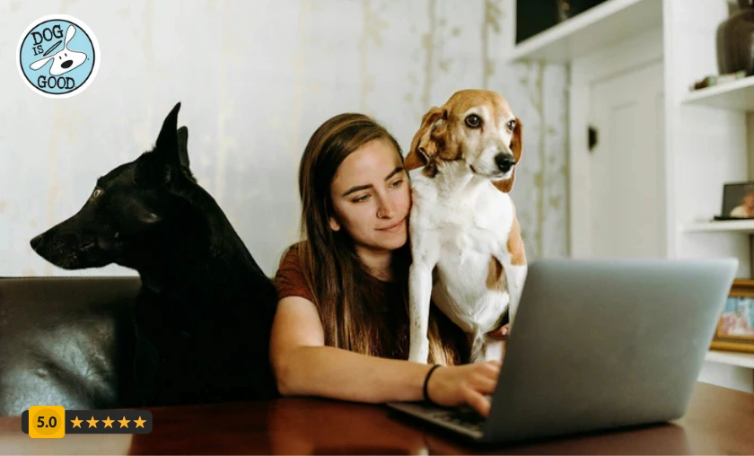 Dog is Good Customer Reviews!