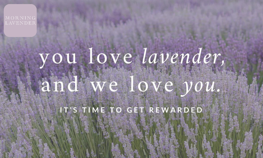 Effortlessly Chic: What Makes Morning Lavender Dresses So Special!