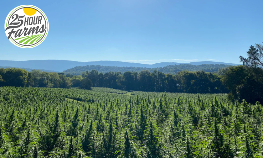 How 25 Hour Farms Maintains Quality in Every CBD Drop!