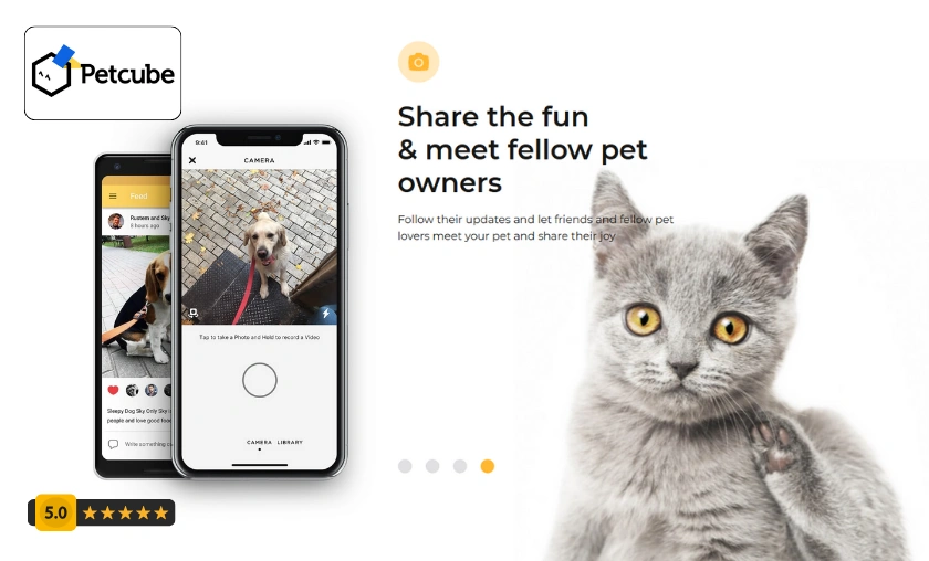 Petcube US Customer Reviews!