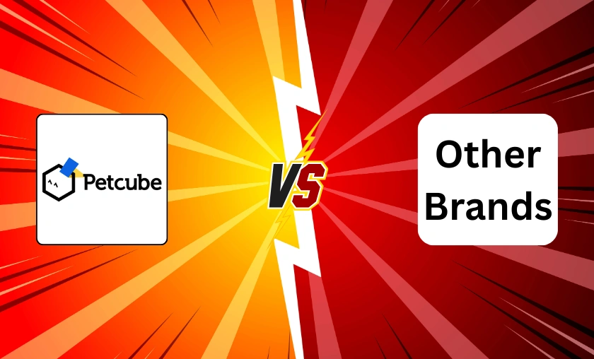 Petcube US Review: Best Pet Food Dispenser & Devices! ([wpsm_custom_meta type=date field=month] [wpsm_custom_meta type=date field=year]) - The Complete Portal