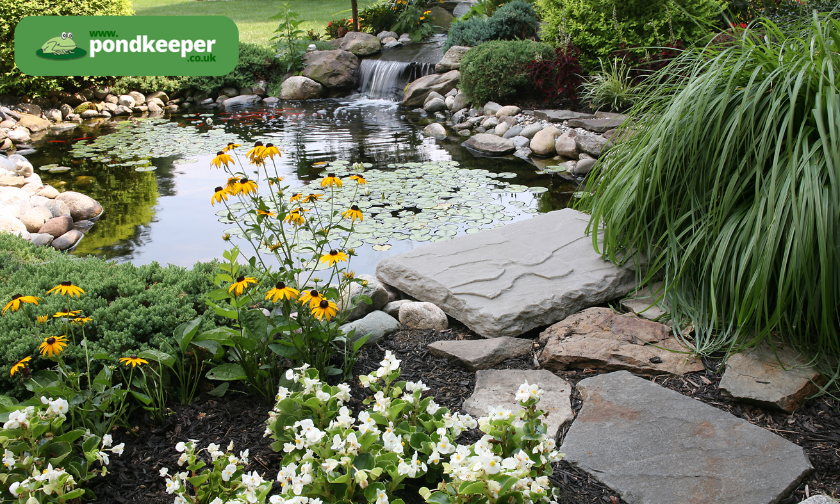 Pondkeeper UK Review: Best Pond Products Online! ([wpsm_custom_meta type=date field=month] [wpsm_custom_meta type=date field=year]) - The Complete Portal