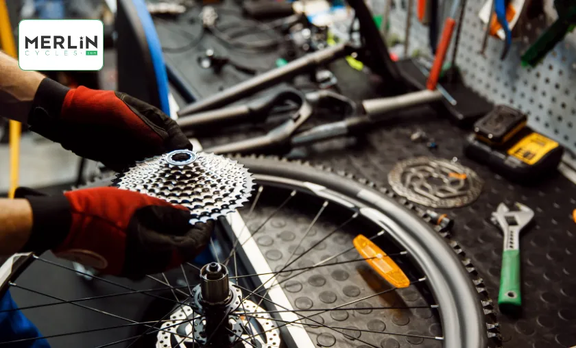 Merlin Cycles EU Review: Best Bikes & Cycling Gear! ([wpsm_custom_meta type=date field=month] [wpsm_custom_meta type=date field=year]) - The Complete Portal