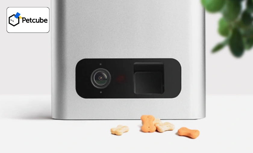 Petcube US Review: Best Pet Food Dispenser & Devices! ([wpsm_custom_meta type=date field=month] [wpsm_custom_meta type=date field=year]) - The Complete Portal