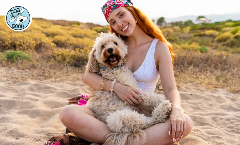 Dog is Good Review: Best Apparel, Gifts & Pet-Loving! ([wpsm_custom_meta type=date field=month] [wpsm_custom_meta type=date field=year]) - The Complete Portal