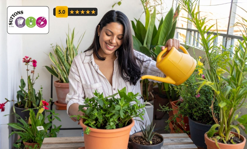 Suttons UK Customer Reviews!