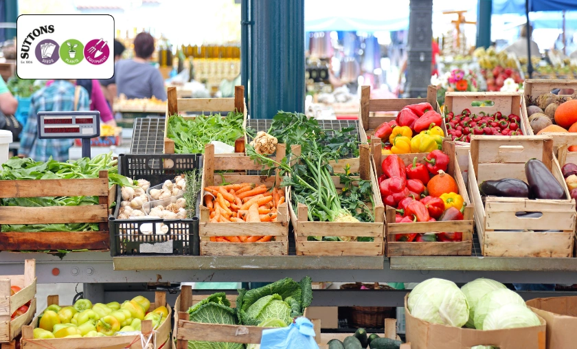 Suttons UK Review: Best Gardening Seeds & Essentials! ([wpsm_custom_meta type=date field=month] [wpsm_custom_meta type=date field=year]) - The Complete Portal