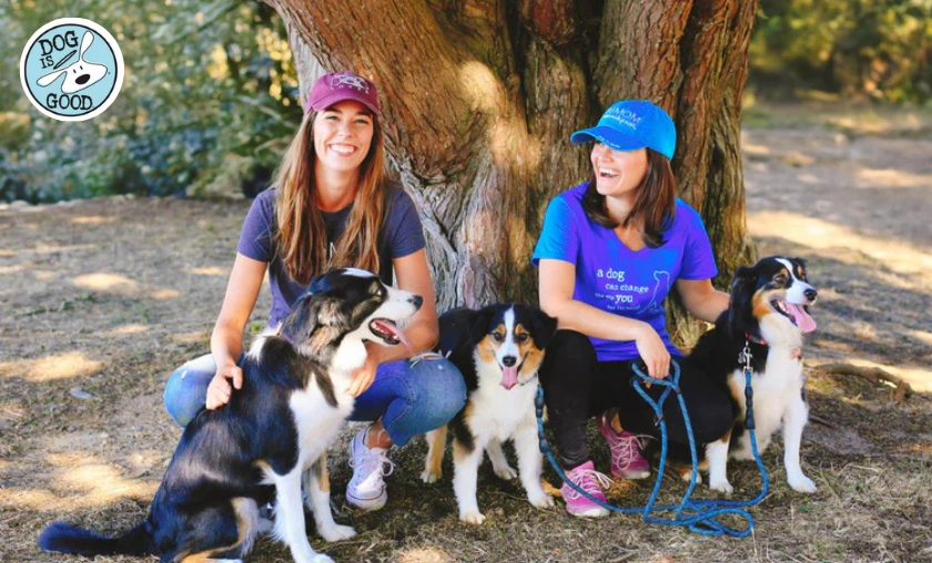 Dog is Good Review: Best Apparel, Gifts & Pet-Loving! ([wpsm_custom_meta type=date field=month] [wpsm_custom_meta type=date field=year]) - The Complete Portal