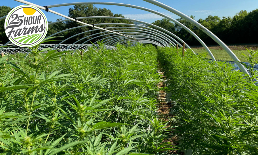 Why 25 Hour Farms Is a Trusted Name in CBD Products!