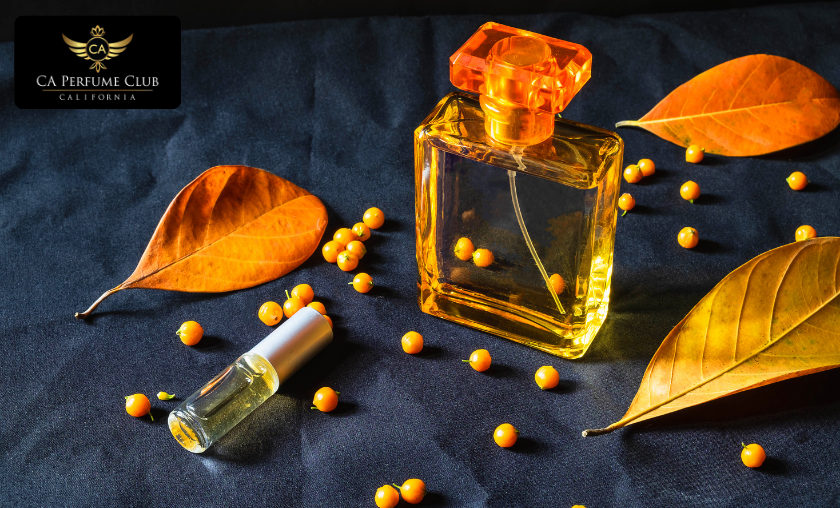 CA Perfume Affordable Luxury Scents for Every Style!