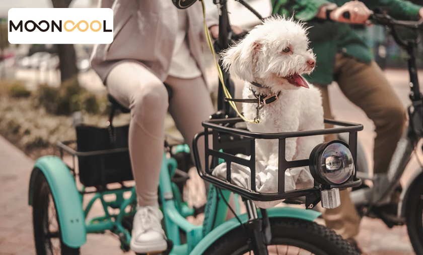 Customer Comments: Mooncool Makes E-Mobility Easy and Affordable!