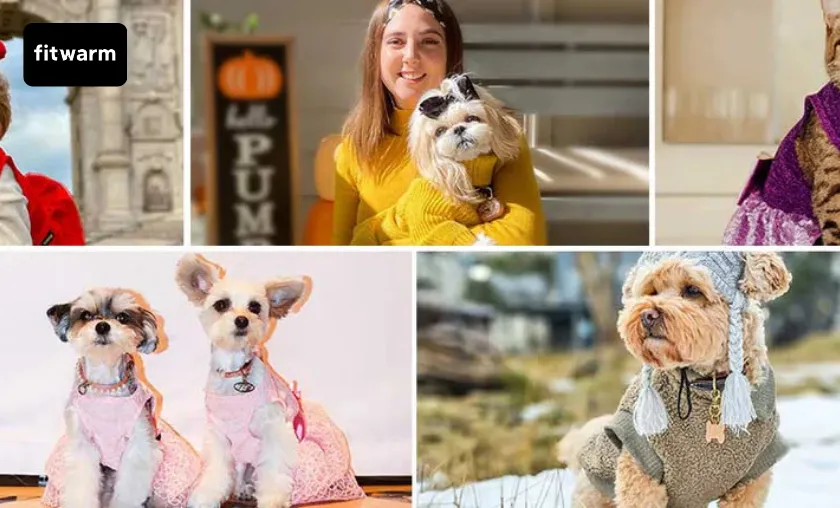 Fitwarm Review: Best Dog Pajamas & Daily Pet Wear! ([wpsm_custom_meta type=date field=month] [wpsm_custom_meta type=date field=year]) - The Complete Portal