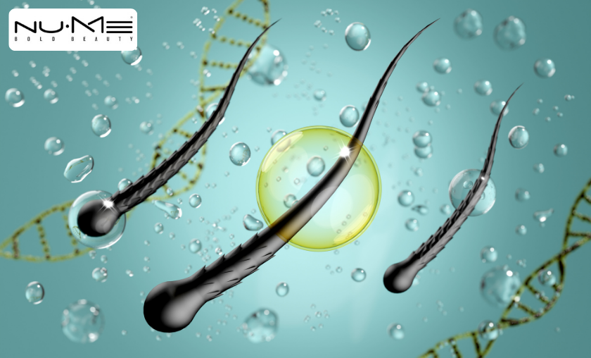 How to Extend Hair Health with NuMe Products!