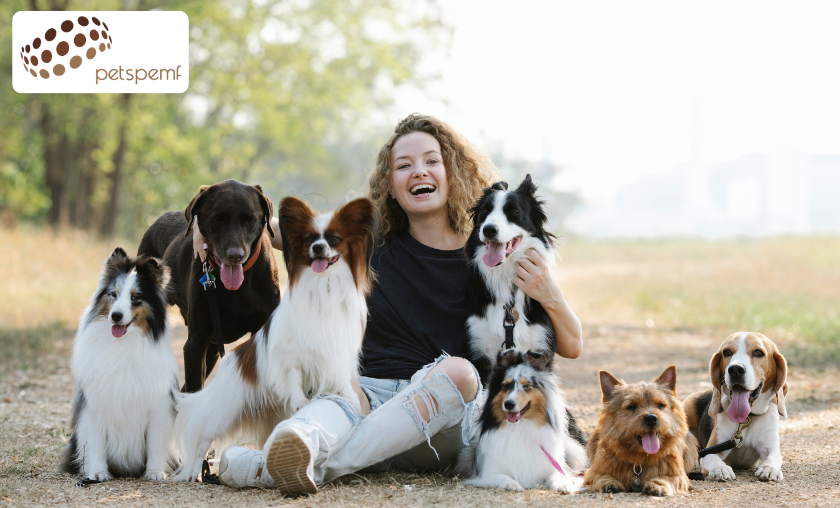 PetsPEMF Customer Reviews Stories from Pet Owners!