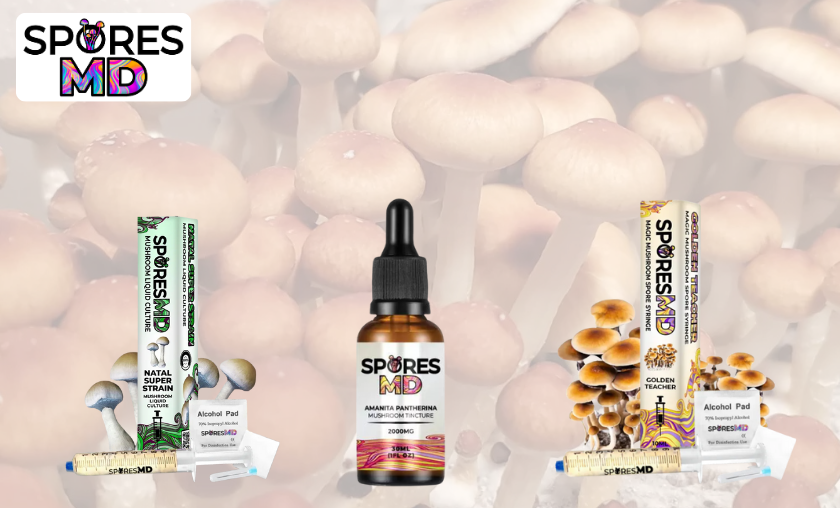 Popular CBD Products from Spore MD You Need to Try!