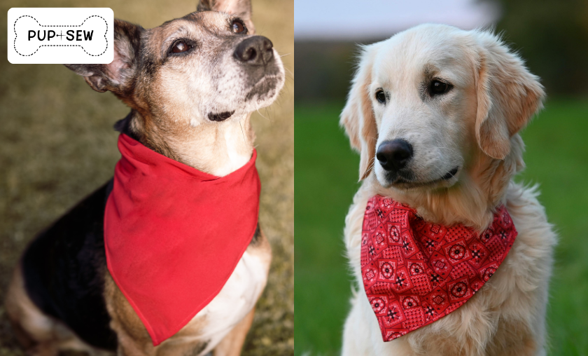 PupSew vs Generic Pet Gear Which Is Better