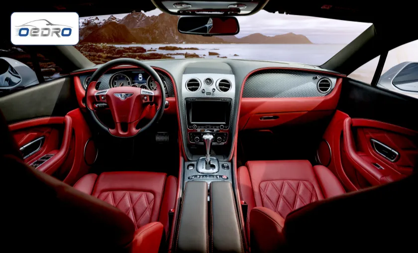 OEDRO US Review: Best Automotive Enhancements! ([wpsm_custom_meta type=date field=month] [wpsm_custom_meta type=date field=year]) - The Complete Portal