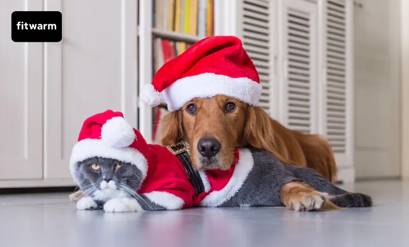 Fitwarm Review: Best Dog Pajamas & Daily Pet Wear! ([wpsm_custom_meta type=date field=month] [wpsm_custom_meta type=date field=year]) - The Complete Portal