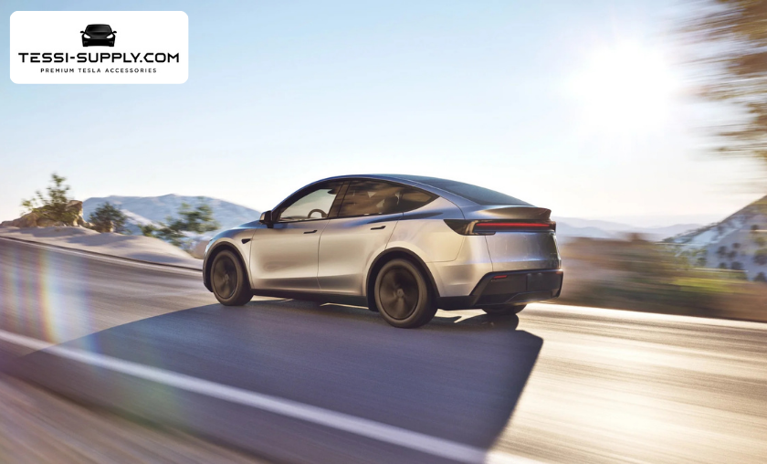 Tessi-Supply vs Other Tesla Accessory Brands!