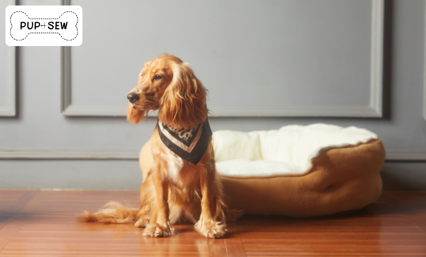 The Benefits of a PupSew Custom Accessories!