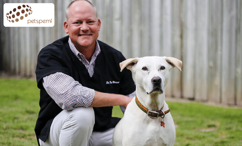 The Story of PetsPEMF Innovation in Pet Care!