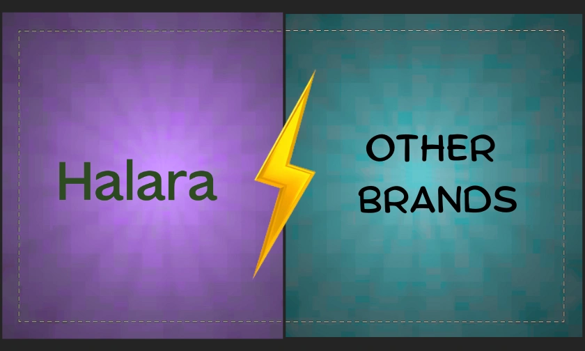 Halara US vs Other Brands How It Stands Out