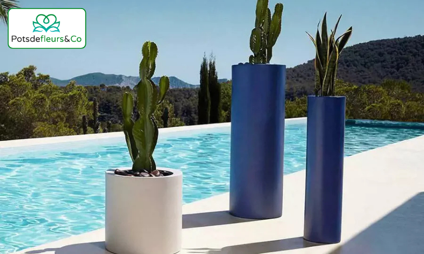 How Pots de Fleurs & Co Elevates Plant Care & Decor!