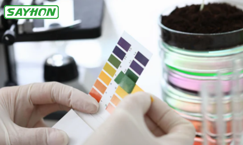 How Sayhon Helps Plants Thrive Indoors!