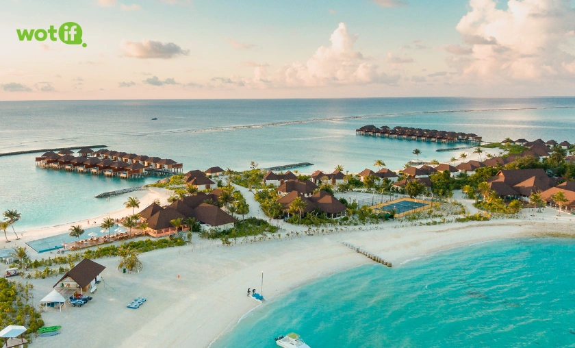 In-Depth Brand Review of Wotif