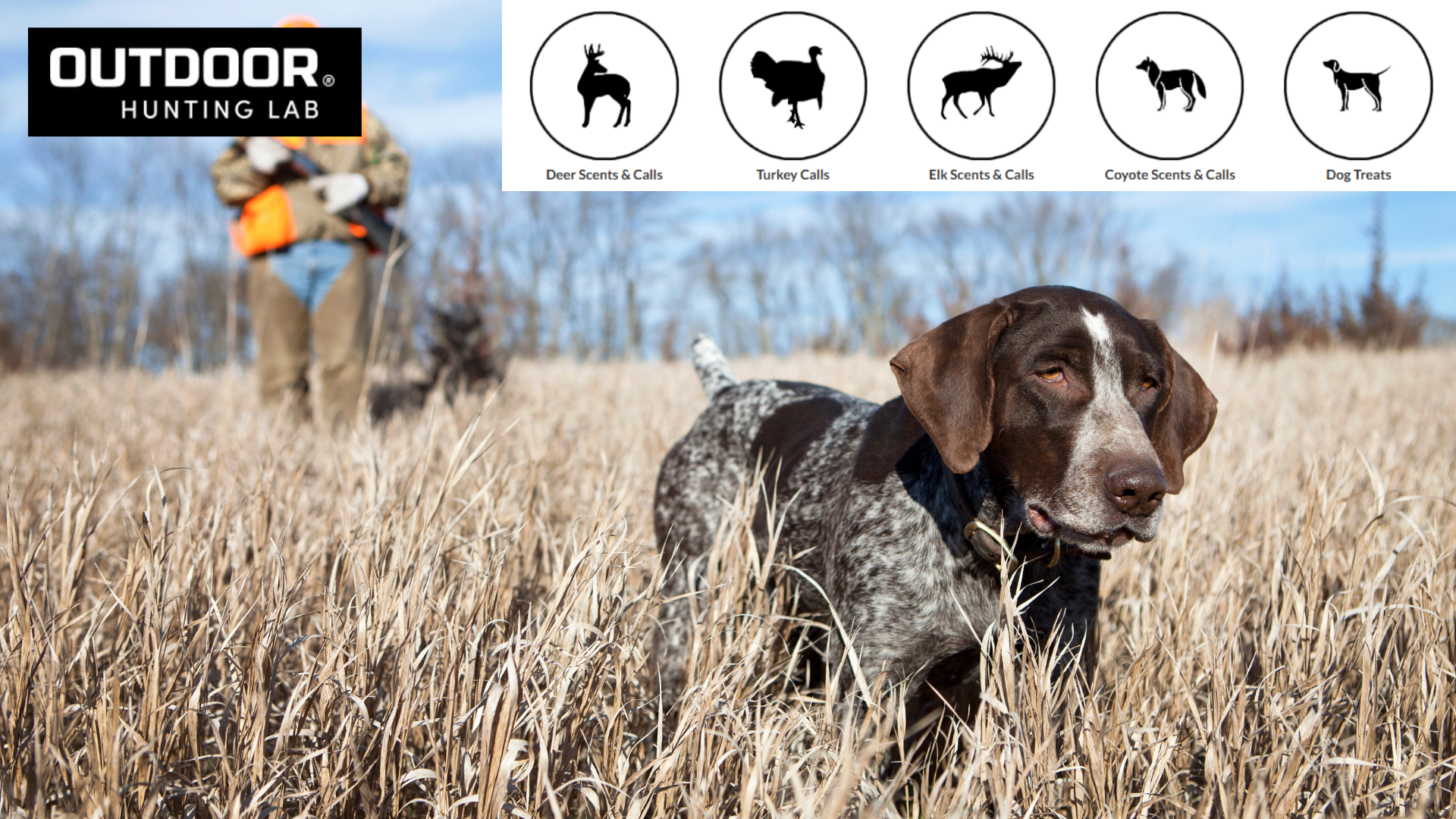 Outdoor Hunting Lab vs Other Brands Field-Tested Advantage!