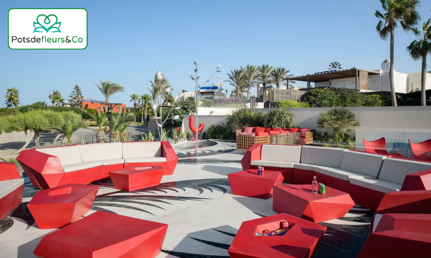 Pots de Fleurs & Co Customer Reviews Plant Lovers Speak Out!