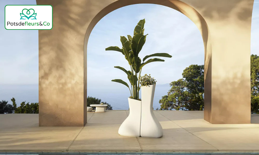 Pots de Fleurs & Co vs Other Brands Beauty Meets Durability!