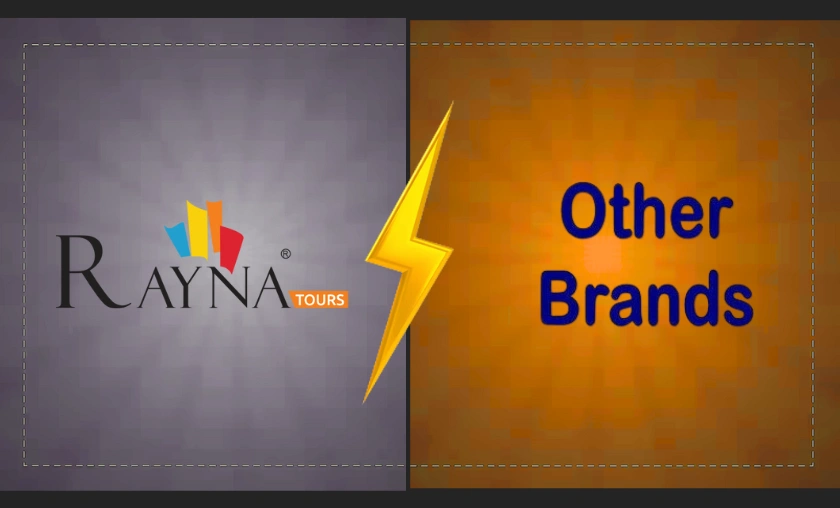Rayna Tours vs Other Travel Services