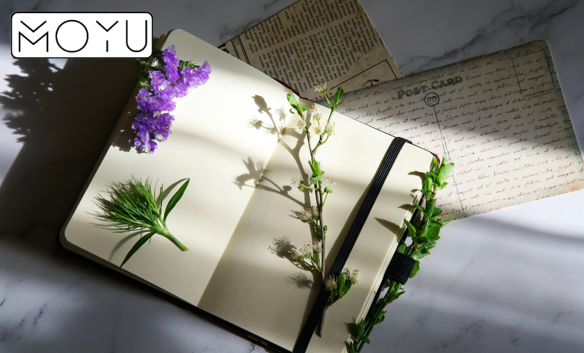 Reasons to Use MOYU Notebooks for Work & Study! (1)