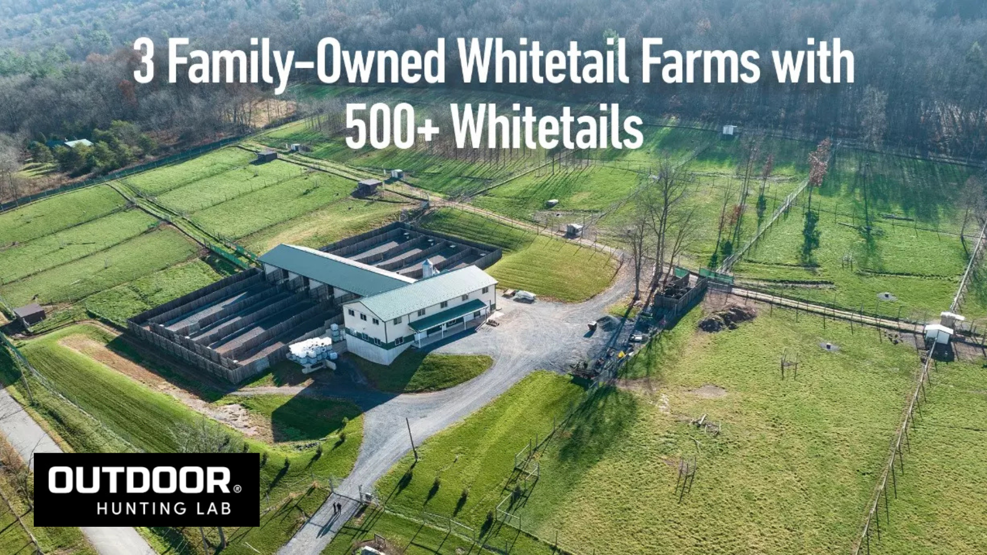 Reasons to Use Outdoor Hunting Lab for Hunting!