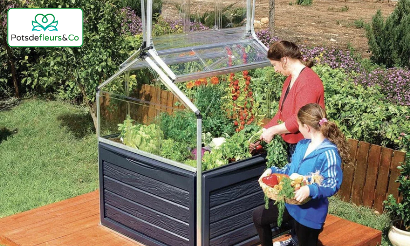 Pots de Fleurs & Co Review: Best Planters & Pots! ([wpsm_custom_meta type=date field=month] [wpsm_custom_meta type=date field=year]) - The Complete Portal