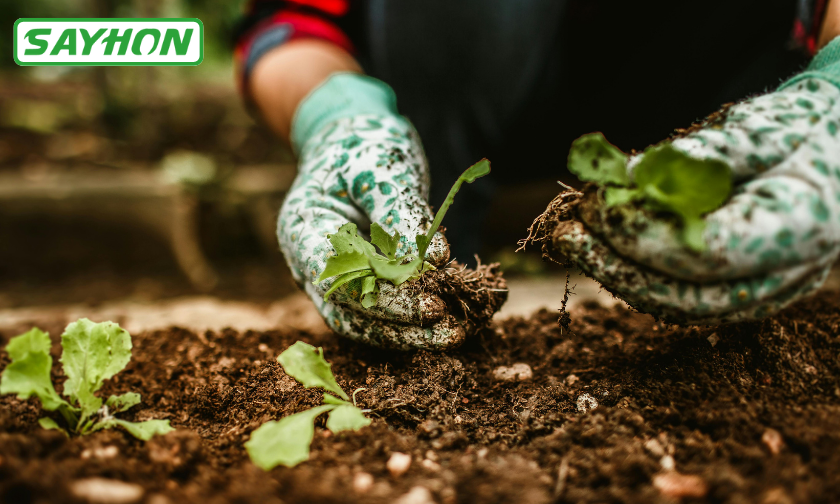 Sayhon Customer Reviews Plant Lovers Speak Out!