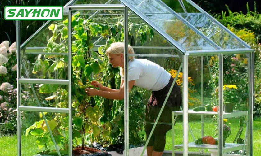 Sayhon Review: Best Indoor Garden Lights for Plants! ([wpsm_custom_meta type=date field=month] [wpsm_custom_meta type=date field=year]) - The Complete Portal