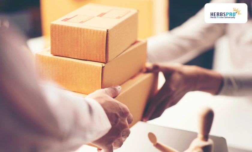 Shipping, Returns & Shopping Experience