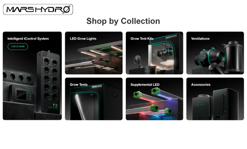The Story of Mars Hydro Revolutionizing Indoor Cultivation!