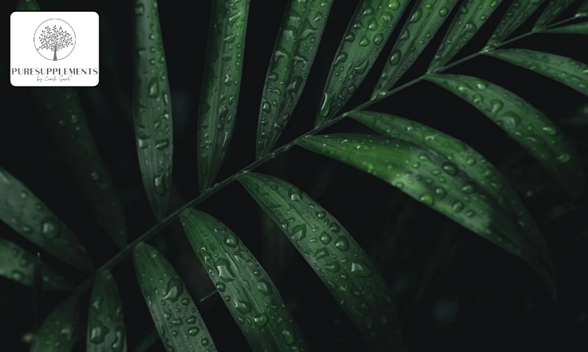 The Story of PURESUPPLEMENTS Building a Healthier You!