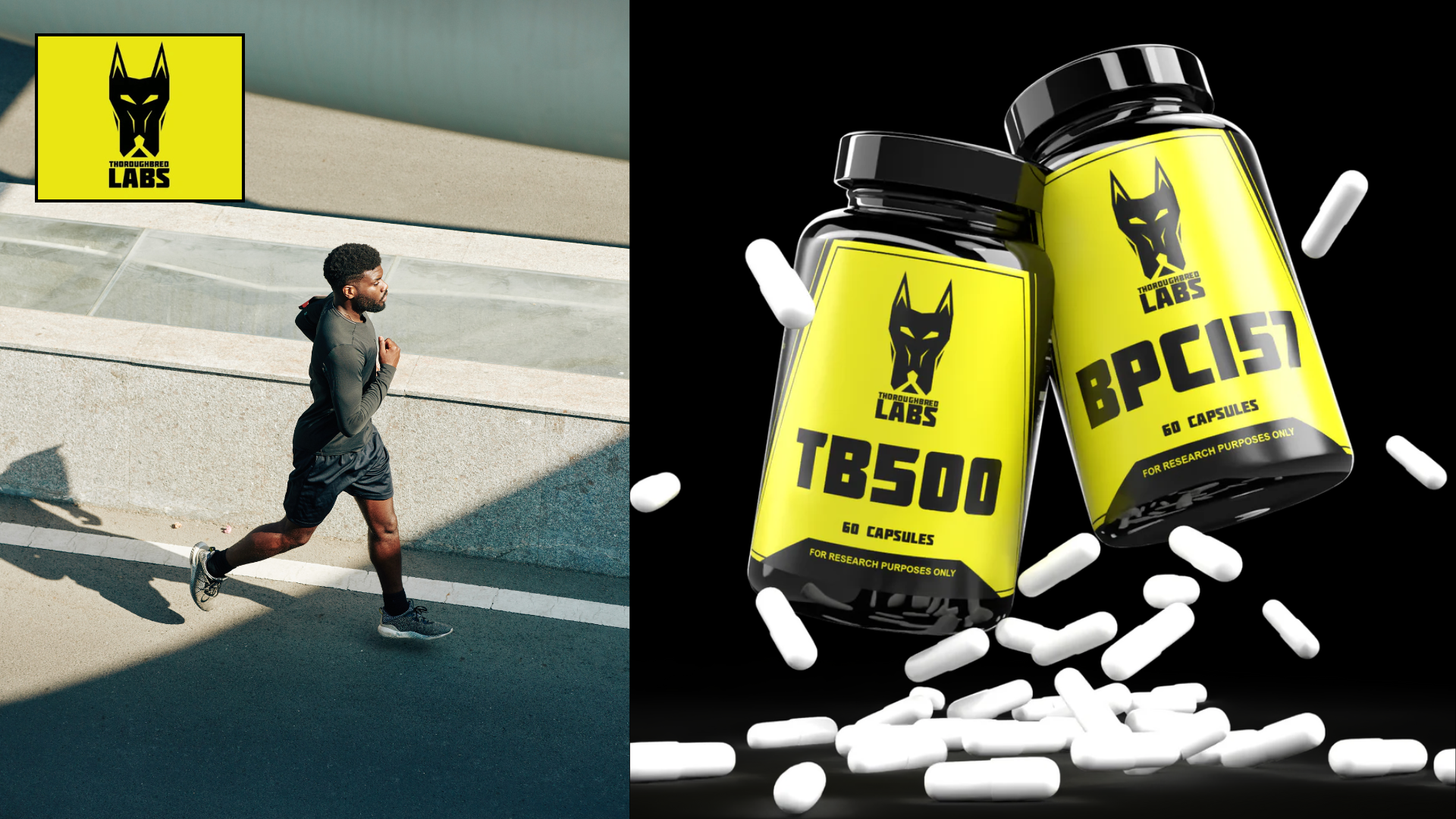 Thoroughbred Labs Review: Top Peptides & Performance! ([wpsm_custom_meta type=date field=month] [wpsm_custom_meta type=date field=year]) - The Complete Portal