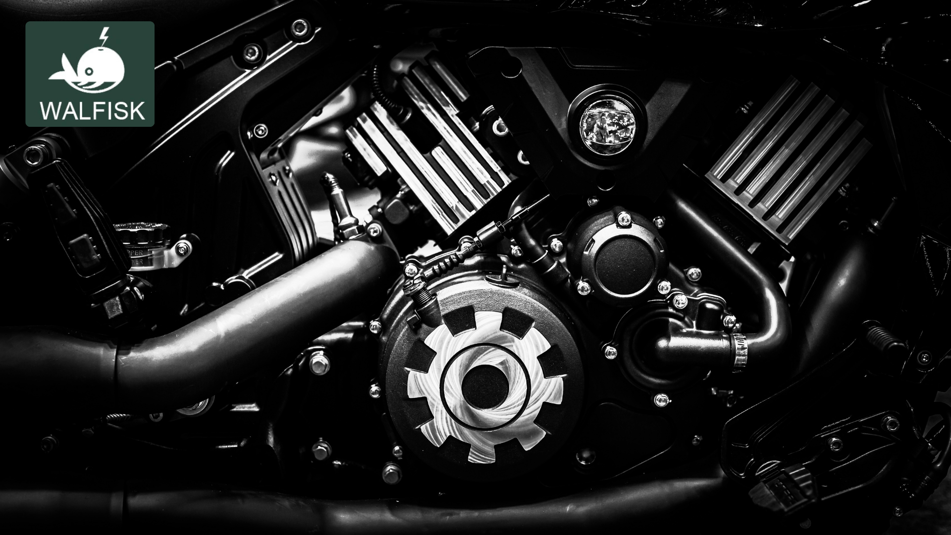 WALFISK Ebike Customer Reviews Riders Share Their Experience!