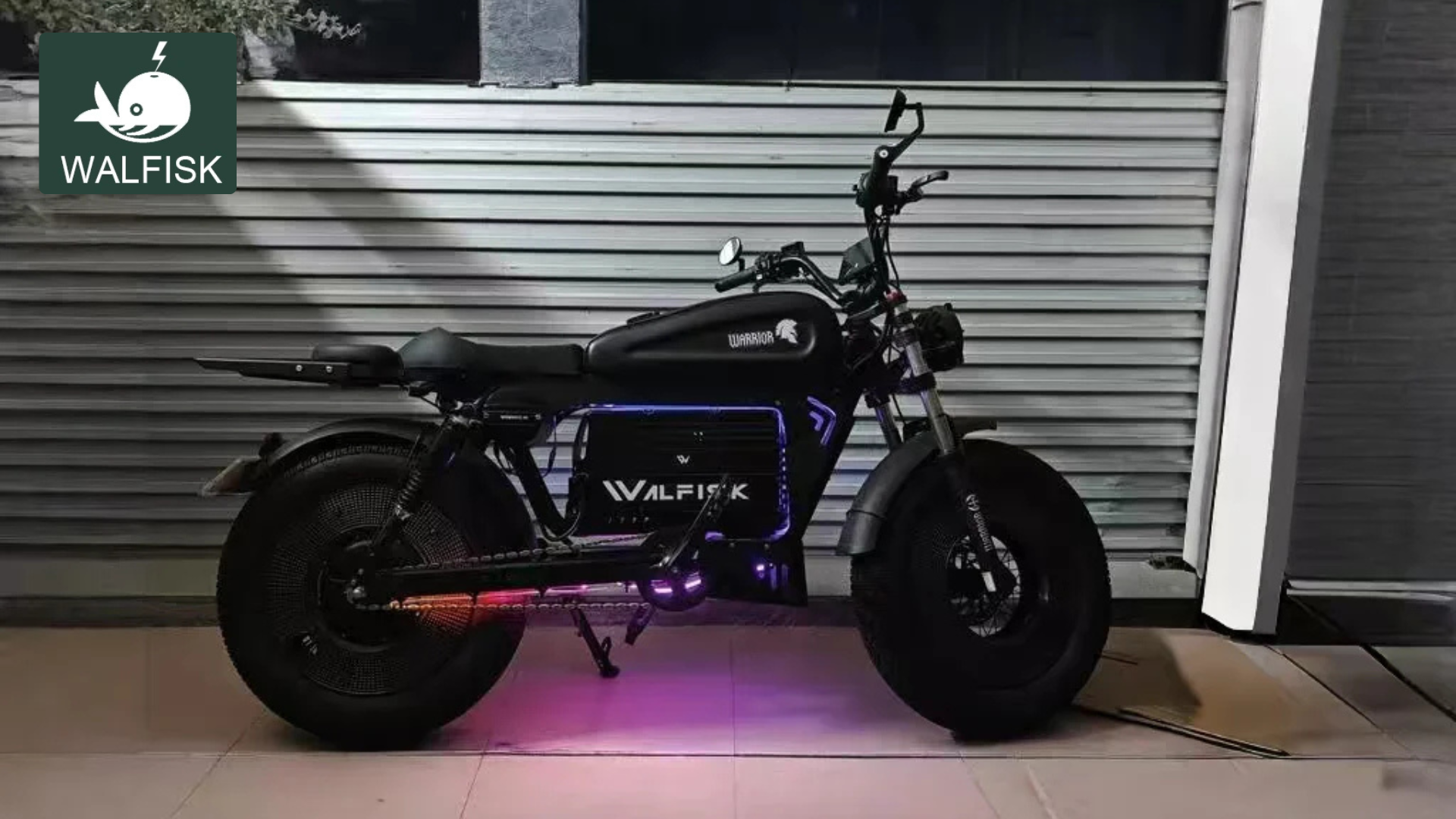 WALFISK Ebike Review Power Meets Performance on Two Wheels!
