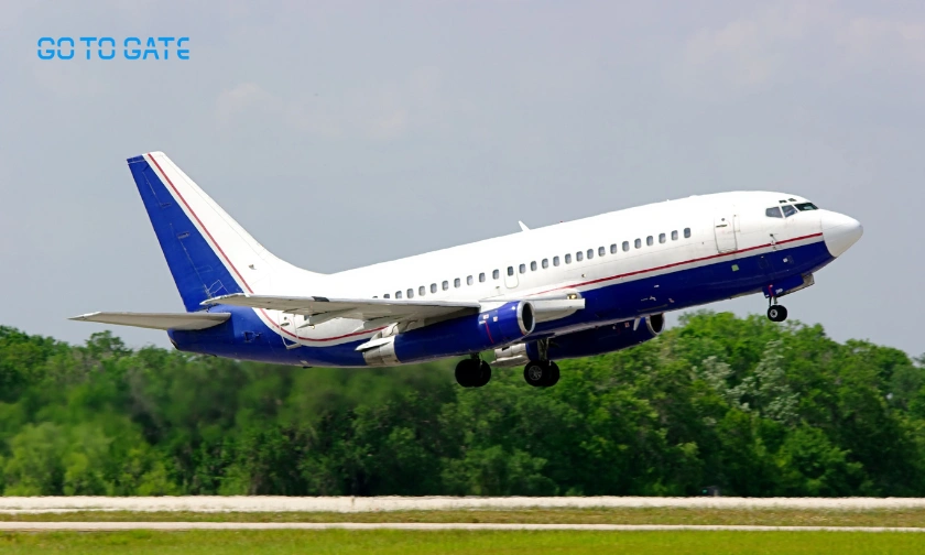 Why Shoppers Love Gotogate